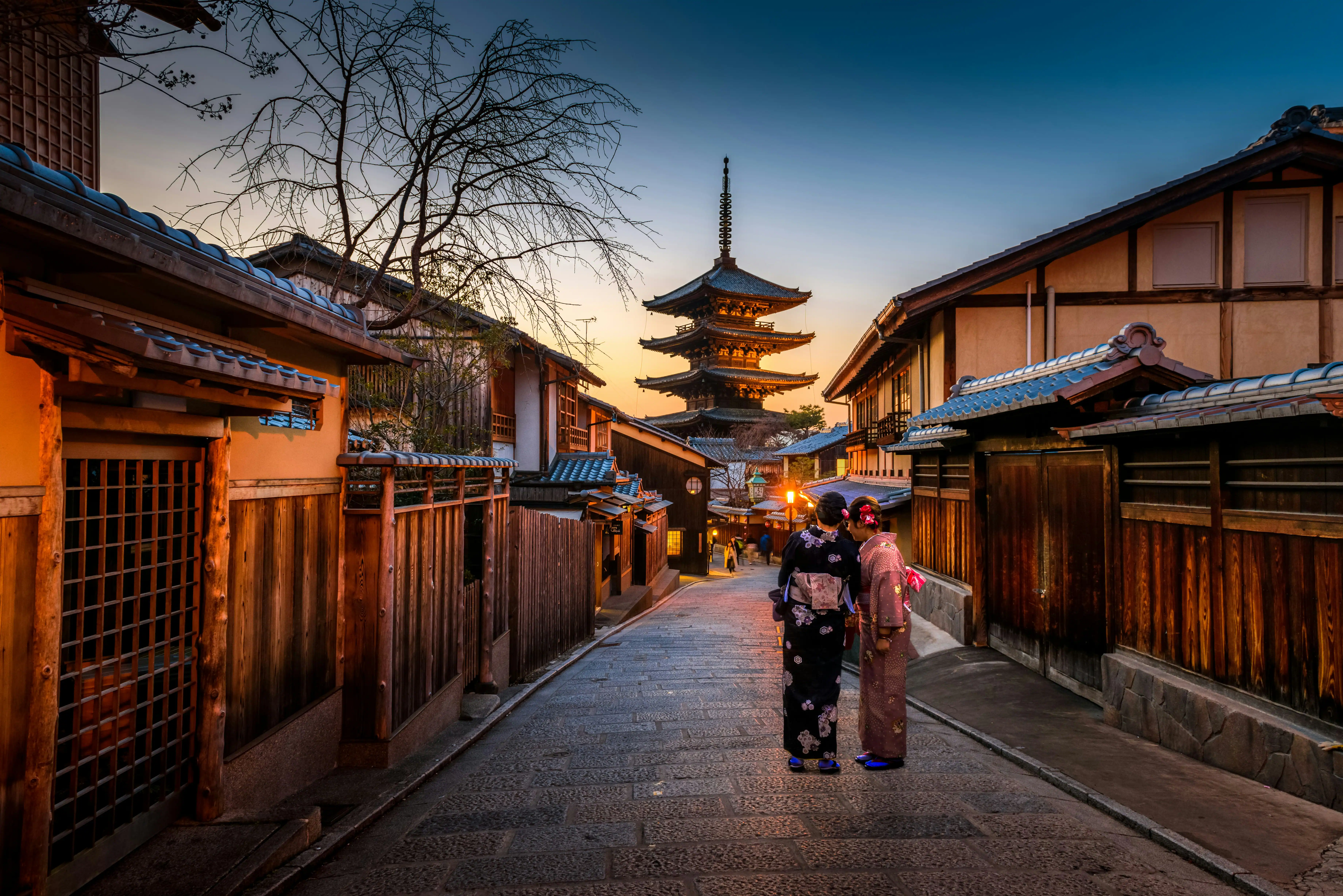 Kyoto Magic: Timeless Traditions & Blossoming Adventures
